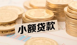 北京12哪里有小额贷款-北京12身份证贷款平台-北京12民间短借